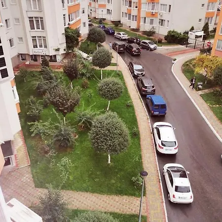 Stunning New Design Next To Park